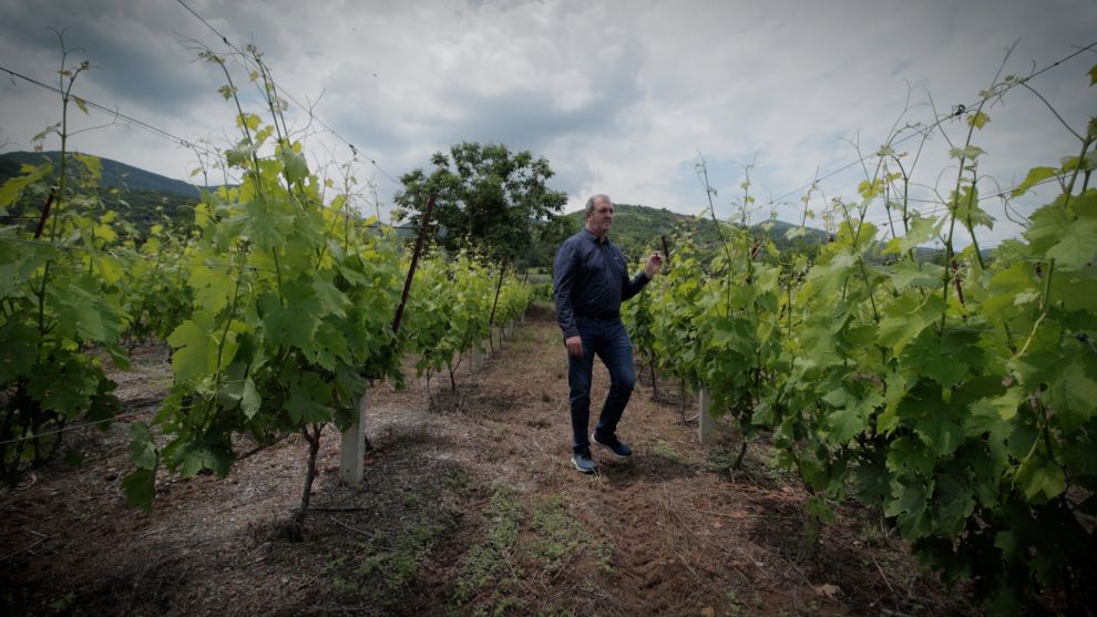 Γιώργος Καραμήτρος, το κρασί ως μνήμη και μέλλον