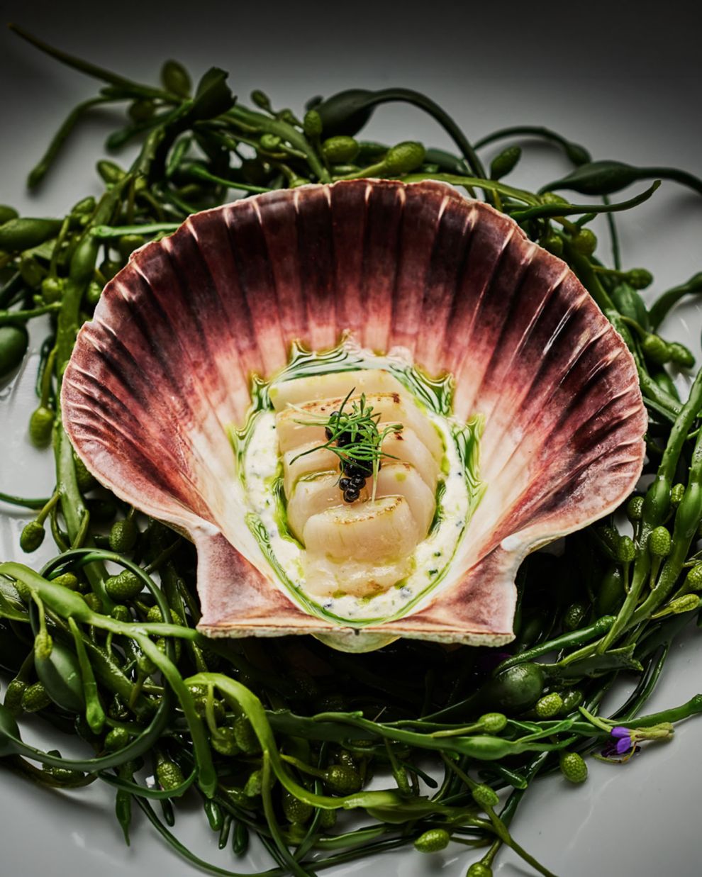 Κρουαζιέρα για βασιλικά καβούρια στη Νορβηγία: Μία μοναδική εμπειρία