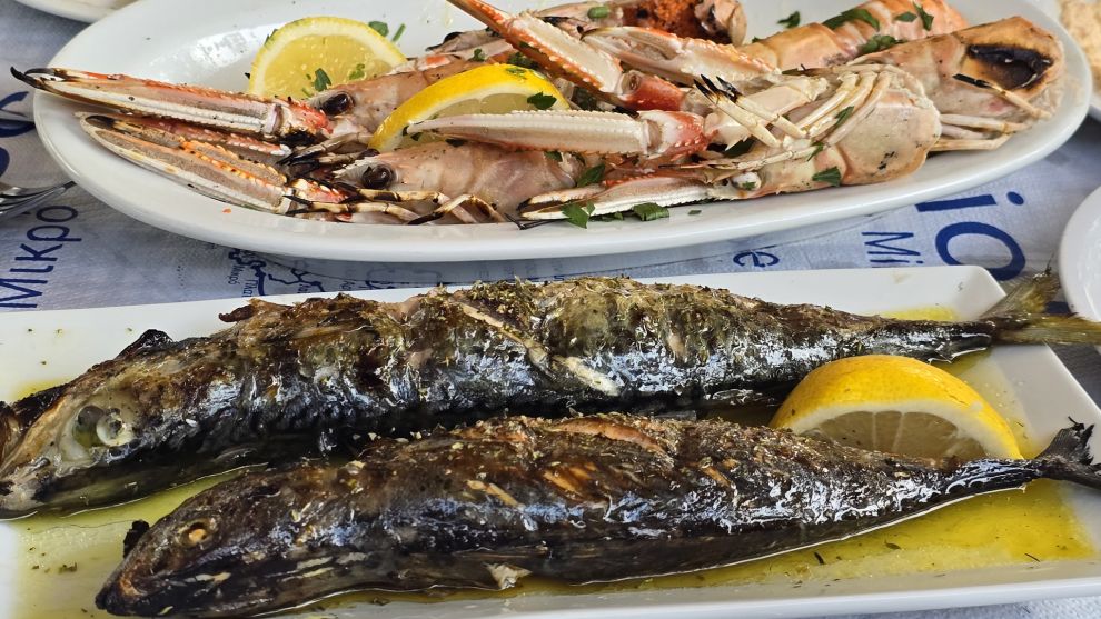 Τσιπουράδικα στο Βόλο
