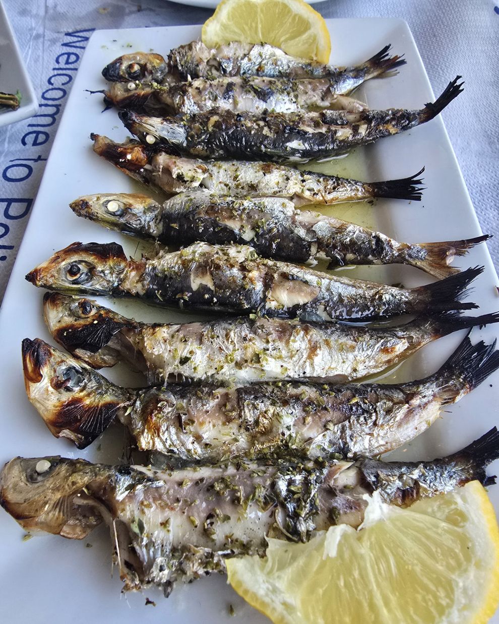 Τσιπουραδικό Βόλος