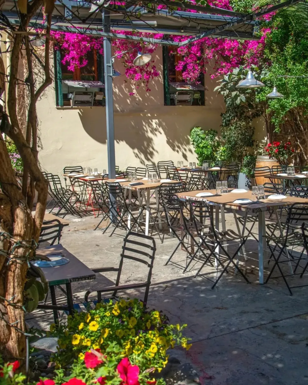 Άμα Λάχει