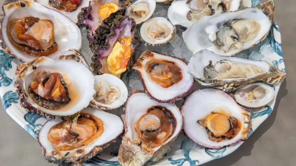 Blue Oyster