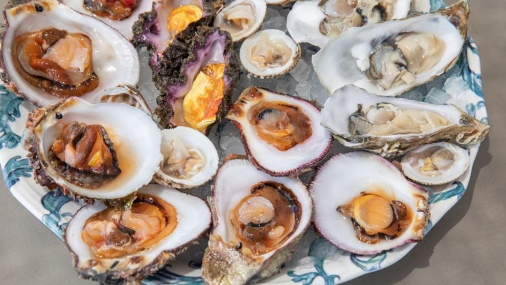 Blue Oyster