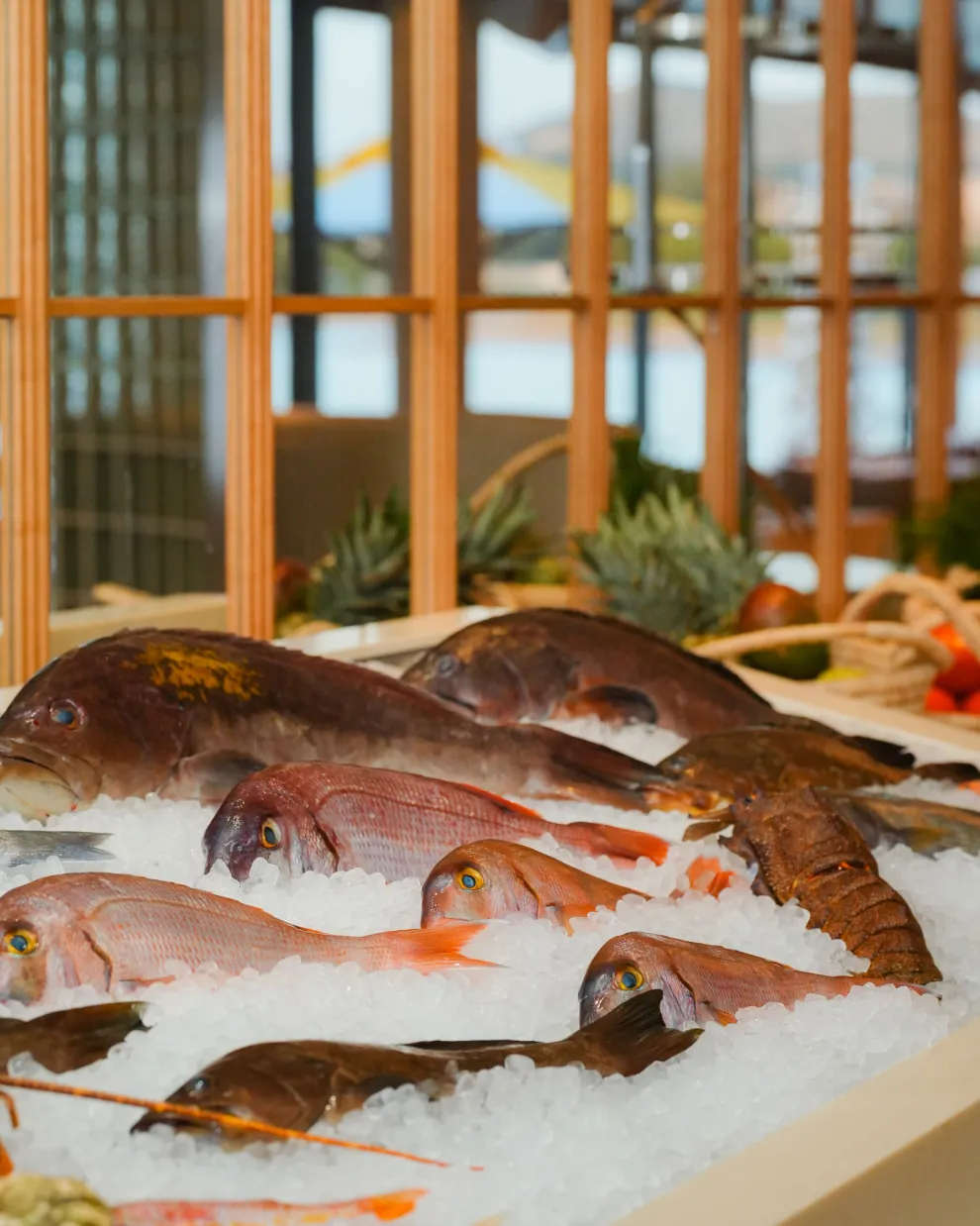 Casa Fish