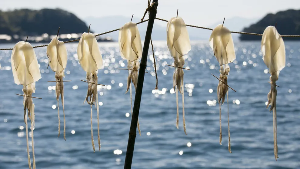 World Food Photography