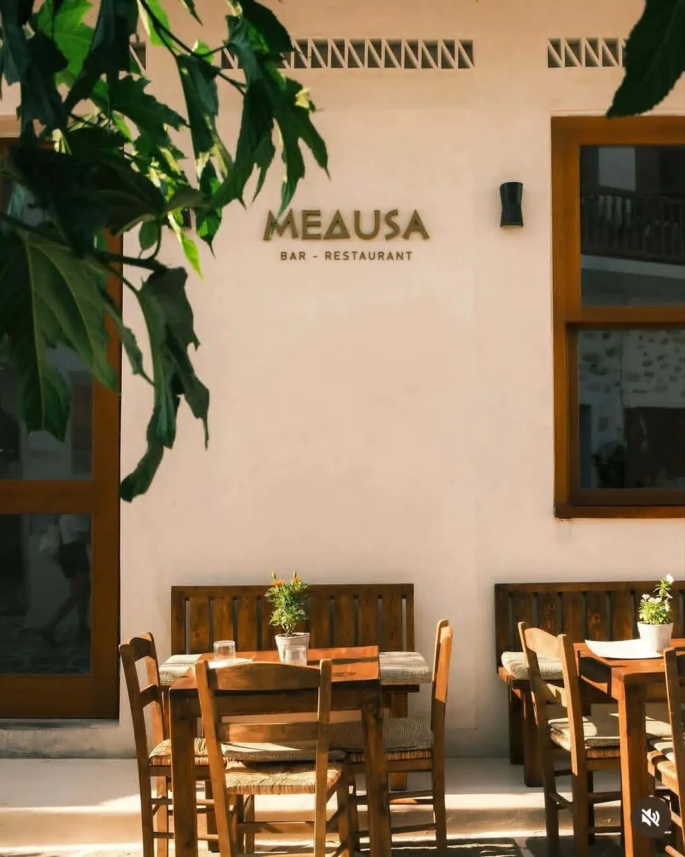 Medusa