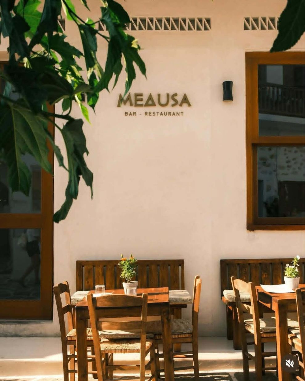 Medusa