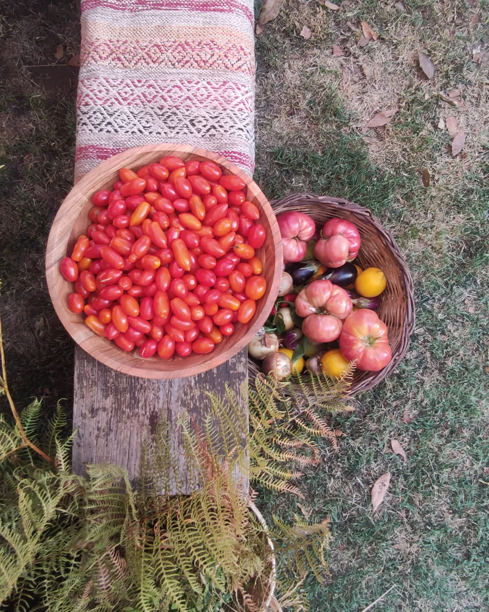 Greenland cofarming
