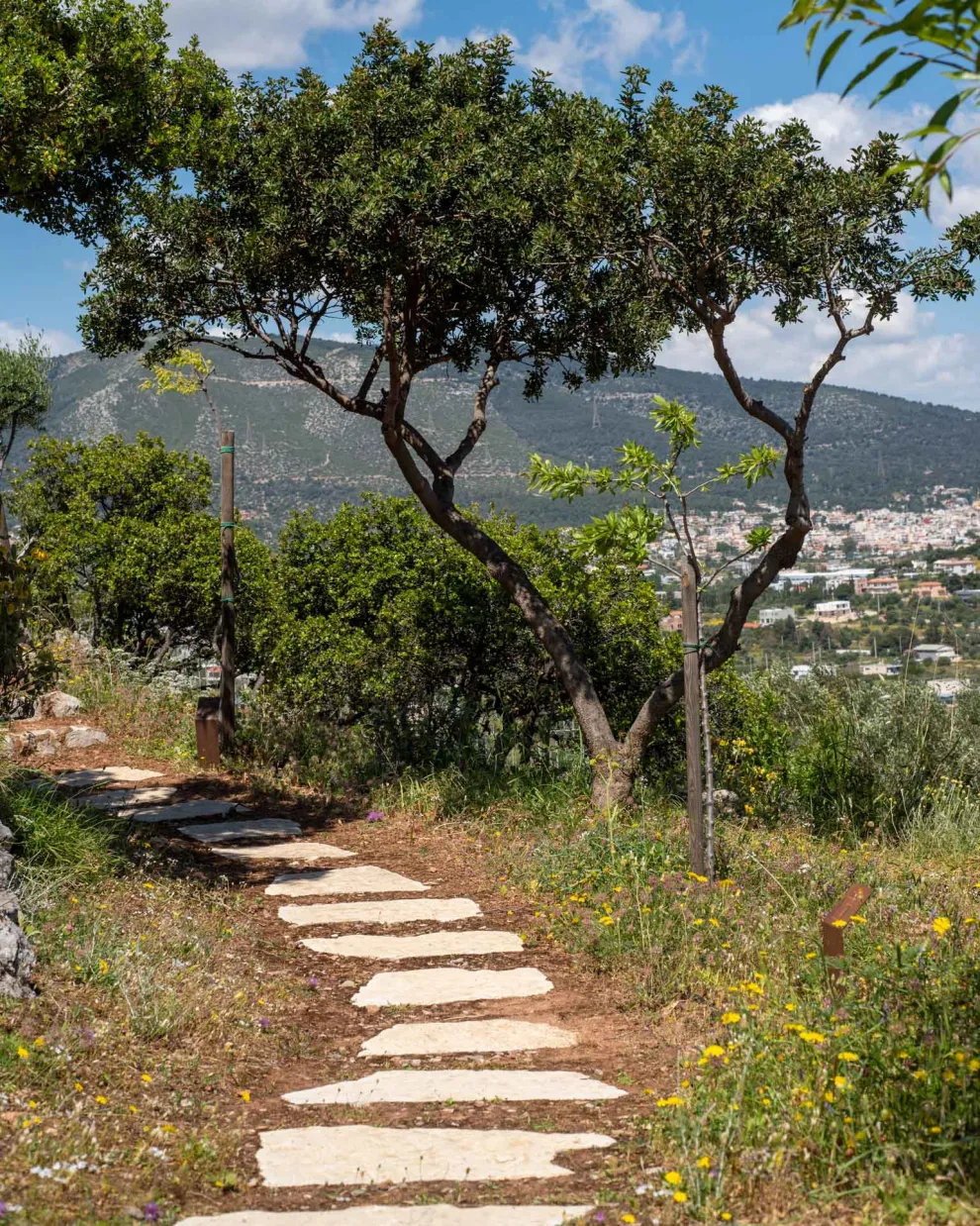 Κουτσιανάς βοτανόκηπος