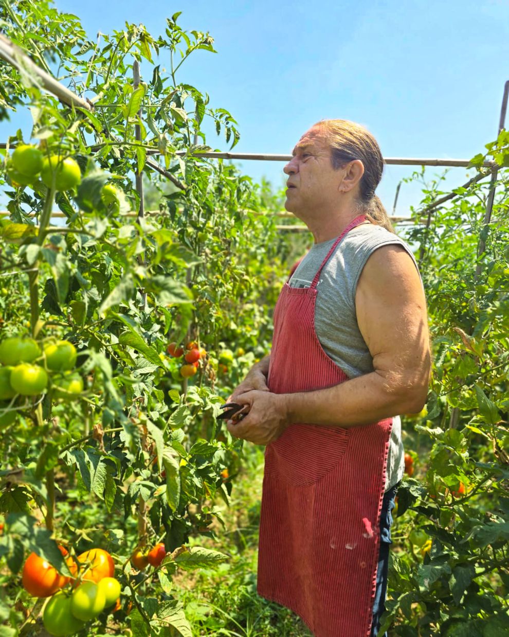 Το Κτήμα της Οικογένειας Βούλγαρη