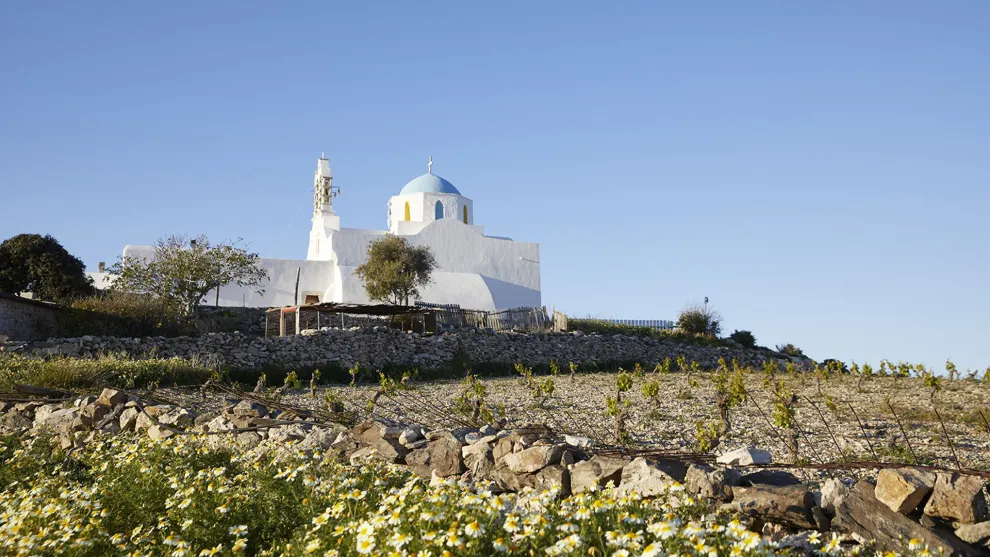 Άρμεγμα και τυροκόμηση