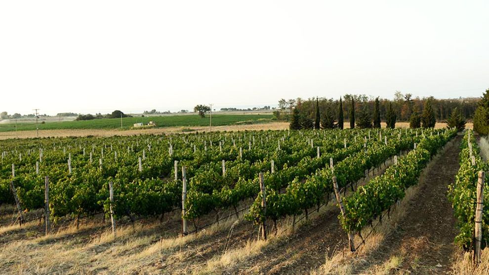 Κτήμα Βουρβουκέλη 