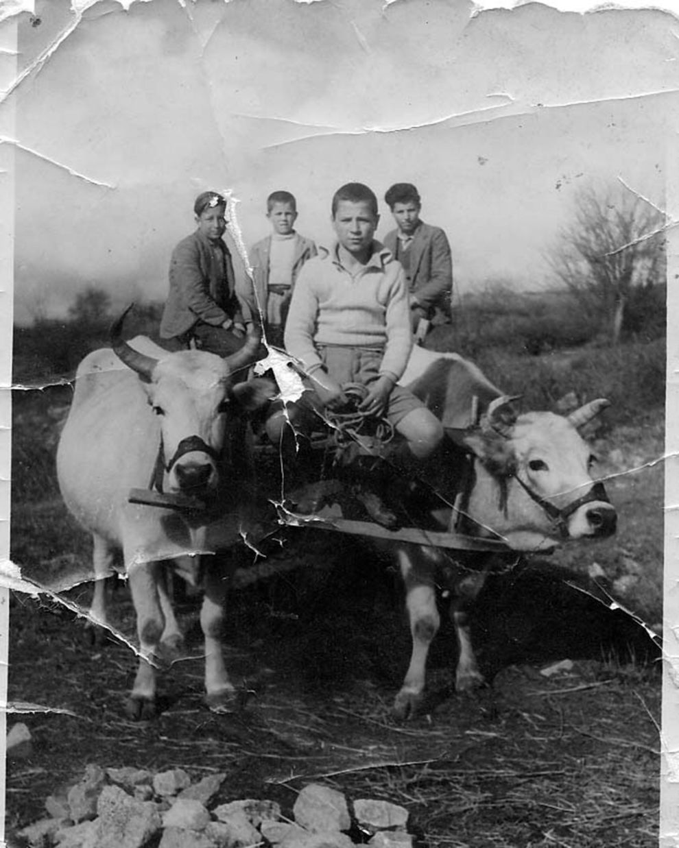 Κτήμα Βουρβουκέλη